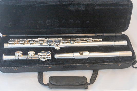 Di Zhao DZ-200 Flute Silver-plated 2023 *Cleaned & Serviced