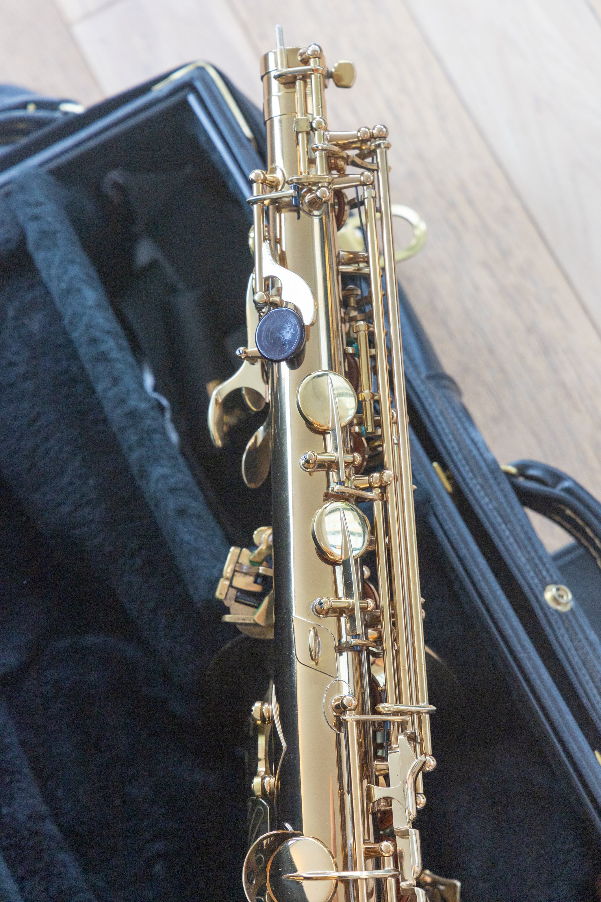 Selmer USA Professional Alto Saxophone *Cleaned & Serviced #823543 