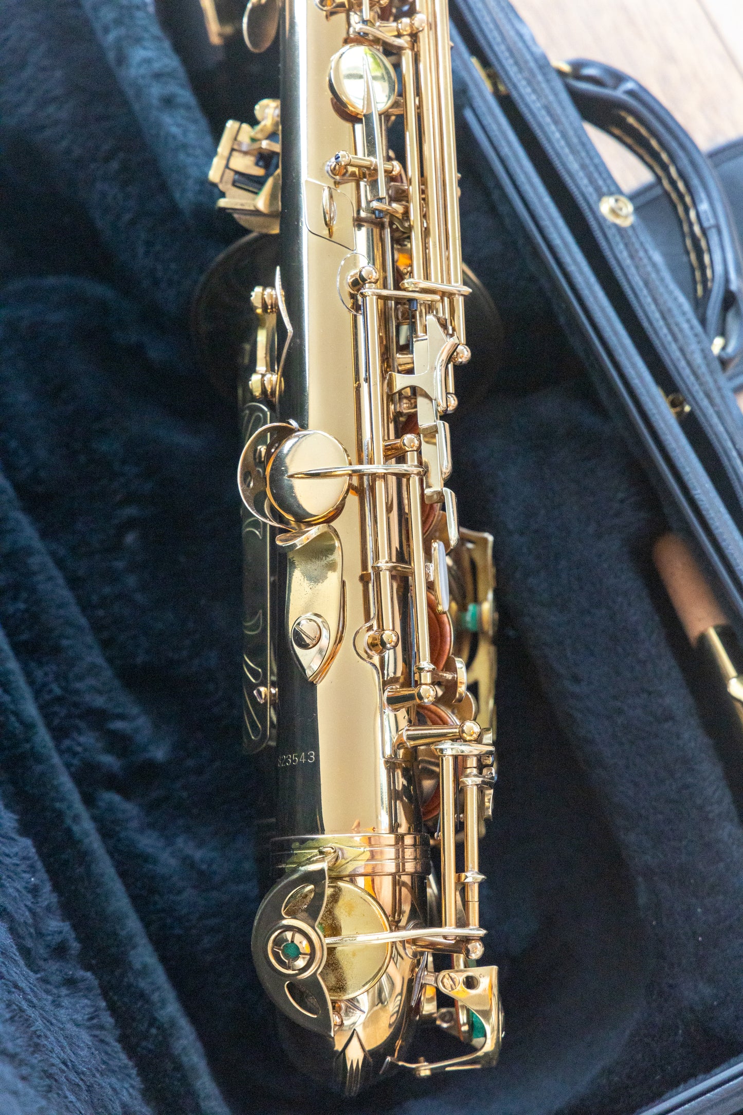 Selmer USA Professional Alto Saxophone *Cleaned & Serviced #823543